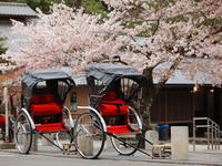 Private Custom Tour: Kyoto in One Day