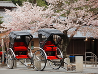 Visite privé personnalisé: Kyoto en Une journée
