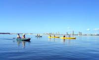 Stradbroke Island Kayak and Snorkeling Tour