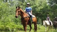 Horseback Ride of Playa Serena