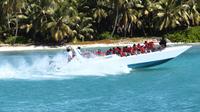 Saona Island Catamaran Speedboat Tour
