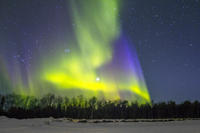 Northern Lights and Chena Hot Springs Tour from Fairbanks