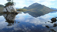 Tasmania Wilderness Experience: Southwest National Park by Air with Bush Walk and Harbor Cruise