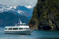 Croisière dans le parc national de Kenai Fjords au départ de Seward