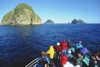 Seward Shore Excursion: Resurrection Bay Cruise Including Lunch on Fox Island