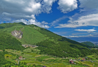 Visite privé: excursion d'Une journée parc national de Yangmingshan au départ de Taipei