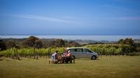 Private voyage Mornington Peninsula Day Indulgence de Melbourne compris Peninsula Hot Springs