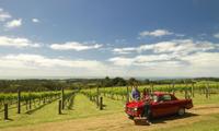 Private Tour: Mornington Peninsula Behind-the-Scenes Gourmet Food and Wine Tasting Experience