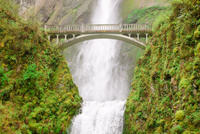 Portland Combo: Hop-On Hop-Off Sightseeing Trolley and Columbia River Gorge Tour