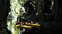 Scenic Lake McLaren Kayak Tour