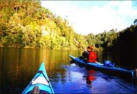 Tauranga Shore Excursion: Wairoa River Kayak Tour