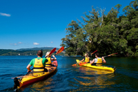 Tour en kayak des sources d'eau chaude du lac Rotoiti et des grottes de Glowworm au départ de Rotorua