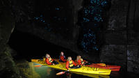 Tour en kayak para ver las luciérnagas por la noche en Tauranga Tour en kayak para ver las luciérnagas por la noche en Tauranga