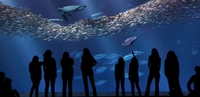 Entrée au Monterey Bay Aquarium