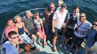 Private Dolphin Safari Charter in Gibraltar