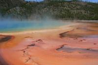 2-Day Yellowstone and Grand Teton National Parks Wildlife Adventure