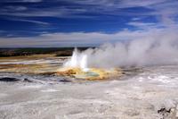 4-Day Yellowstone and Grand Teton National Parks Wildlife Adventure