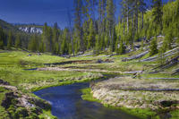 Yellowstone National Park Small-Group Wildlife Safari