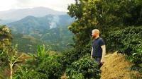 Coffee Plantation and Jardín City Day-Tour 