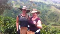 Medellin City and Coffee Region Tour