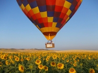 Vol en montgolfière à Séville - Séville - 