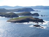 Bruny Island Sightseeing and Gourmet Tour from Hobart