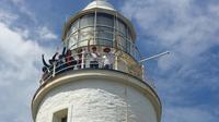 Fully Guided Bruny Island Lighthouse Tour