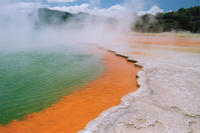 Tauranga Shore Excursion: Private Wai-O-Tapu Thermal Wonderland et Whakarewarewa Maori Cultural Village