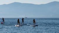 Split Stand Up Paddleboarding Tour