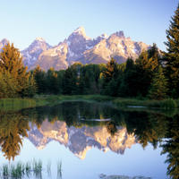 Grand Teton National Park Tour from Jackson Hole