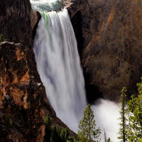 Yellowstone National Park Tour from Jackson 