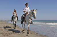 Horseback Riding and Beach BBQ in St Lucia