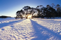 Excursion d une journée à la neige à Mountain Lake et aux chutes de Steavenson au départ de Melbourne