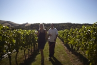Expérience dans la Vallée de la Yarra: bière, cidre, vin et repas au départ de Melbourne