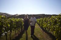 Experience Yarra Valley: Beer, Cider, Wine and Food from Melbourne