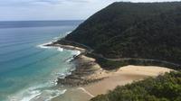 The Great Ocean Road Bike and Bush Adventure from Melbourne