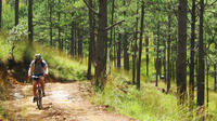 DALAT HIKING AND BIKING COMBINED GROUP TOUR