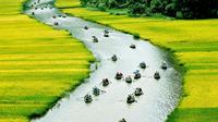 Day Trip to the Ancient Capital of Ninh Binh from Hanoi