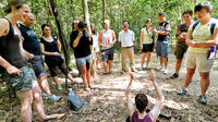 Petit groupe Tay Ninh Saint-Siège et de Cu Chi Tunnels Tour de Ho Chi Minh-Ville
