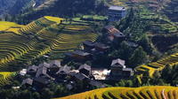 3-Night Guilin Experience With Li River Cruise, Longsheng Rice Terrace, and Reed Flute Cave