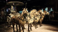 Half-Day Tour of the Terracotta Warriors and Horses Museum From Xi'an