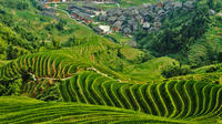 Incredible Longsheng Day Tour to Longji Rice Terraces and Zhuang Yao Culture from Guilin