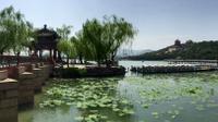 The Essence of Beijing: the Summer Palace, Beijing Zoo and the Lama Temple