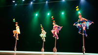 Visite D'une demi-journée à Pékin: la Cité Interdite, le marché de Hongqiao, spectacle acrobatique et dîner gastronomique with Canard Pékinois