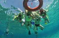 Caribbean Snorkel Tour in Grand Turk's Coral Reef