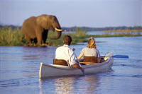 Kayak Safari sur le fleuve Zambèze avec Transports de Livingstone