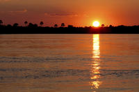 Sunset Zambezi River Cruise with Transport from Victoria Falls