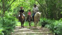 Countryside Horseback Riding at Scape Park