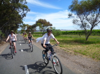Tour des vignobles de McLaren Vale à vélo