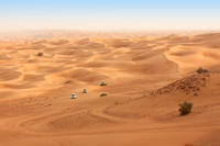 Dubai Desert 4x4 Safari with Quad Ride, Camel Ride, BBQ Dinner and Belly Dancing